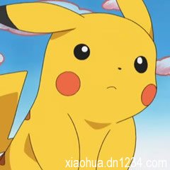 Ƥ���� ��ɫ�ĵ����� �е�ɰ� �е��Ƥ �ֶ�����