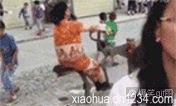 糗百动态大图gif 糗事百科成本人版短