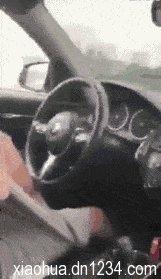 糗百动态大图gif 糗事百科成本人版短