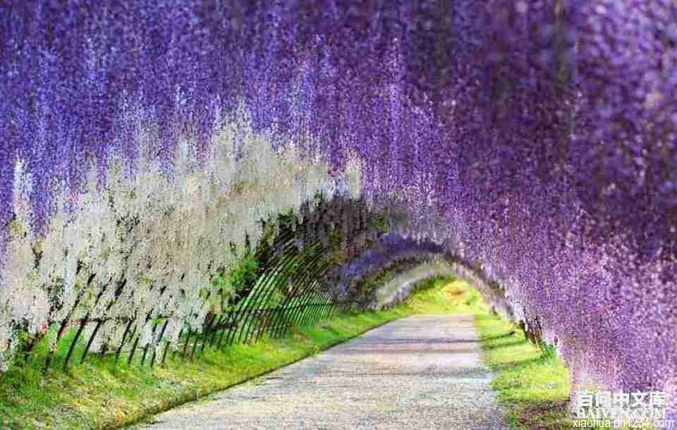 百问爆笑经典笑话大全