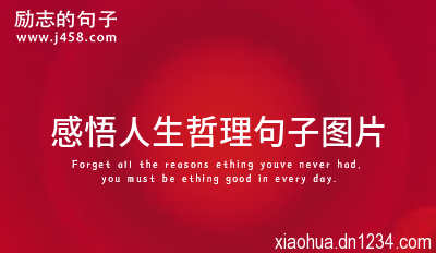 感悟人生哲理句子图片