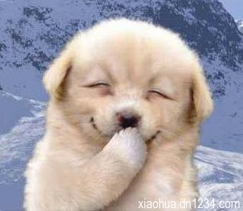 经典冷笑话大全：开心一刻50则