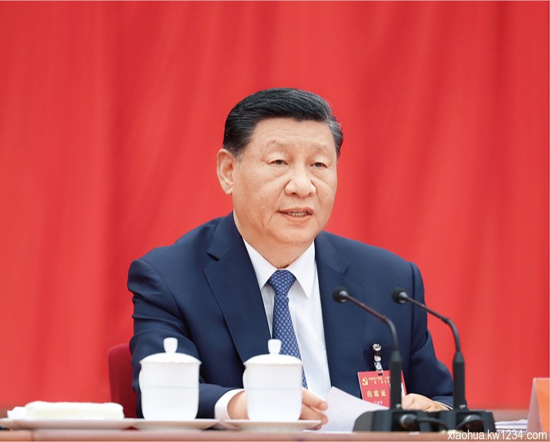 ���ڡ��й�������ڽ�һ��ȫ����ĸ�ƽ��й�ʽ�ִ����ľ�������˵��